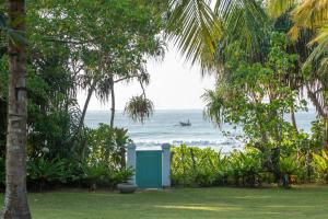 zielona wychodka z plażą w tle w obiekcie The Last House w Tangalli