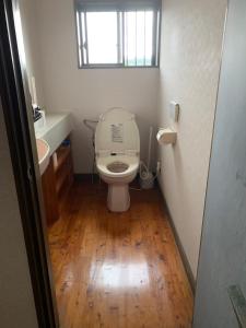 宮崎的住宿－UMICHIKA AOSHIMA - Private house，一间带卫生间和水槽的小浴室