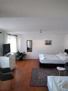 Postel nebo postele na pokoji v ubytování Apartman Modry dum