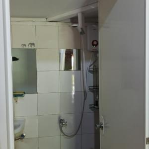 a bathroom with a shower with a sink and a mirror at Two crazy monkeys in Bakjawan