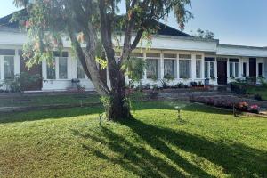 a house with a tree in the yard at Vanda Villa in Batu