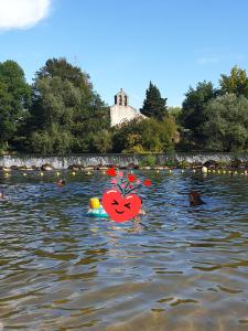 een groep mensen die in het water zwemmen bij Une halte au beau Millet in Coutras