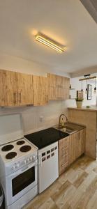 Kuchyň nebo kuchyňský kout v ubytování Apartman Sen's