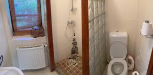 Ένα μπάνιο στο Romantic house at lake balaton +19 φωτογραφίες