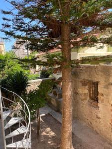 a tree in front of a building with a staircase at Διαμέρισμα στο κέντρο της πόλης in Chios