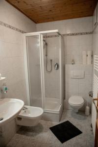 a bathroom with a shower and a toilet and a sink at Mösslhof App Garten in San Vito