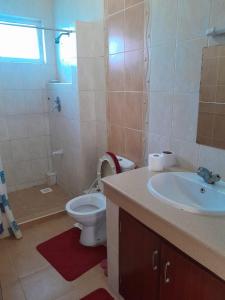 a bathroom with a toilet and a sink and a shower at Ocean one apartment in Mombasa