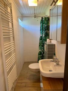 a bathroom with a sink and a toilet and a mirror at Boerenslag 24 in Sint Maartensvlotbrug