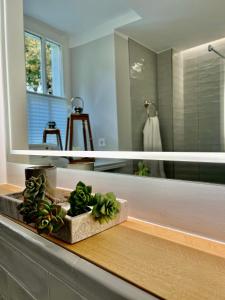 a bathroom with a mirror and a potted plant on a counter at Premium Apartment an der Stadtmauer im EG in Paderborn