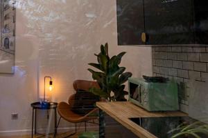 uma cozinha com uma planta num balcão com um micro-ondas em La Petite Échoppe - Chartrons em Bordeaux