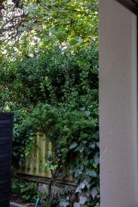 a fence in front of a hedge with plants at La Petite Échoppe - Chartrons in Bordeaux