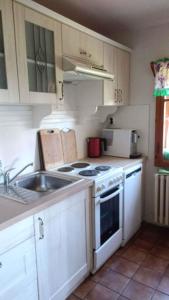 a kitchen with a sink and a stove top oven at Holiday home in Jestrabi v Krkonosich 2207 in Roudnice