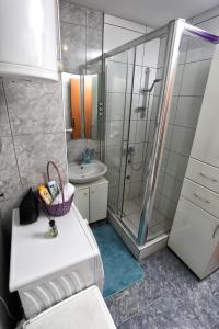a bathroom with a shower and a toilet and a sink at Apartman Vrancic in Banja Luka