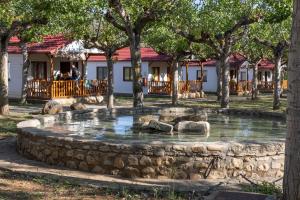 una fuente en medio de un parque con árboles en Bungalowpark Isábena, en La Puebla de Roda