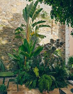 a bunch of plants in front of a brick wall at Aristide Hotel - Small Luxury Hotels of the World in Ermoupoli