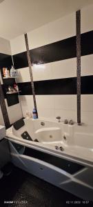 Mirco Apartament