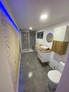 uma casa de banho com um WC, um lavatório e um chuveiro em Appartement plain-pied em Migné-Auxances
