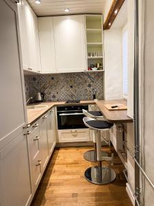 Kuchyň nebo kuchyňský kout v ubytování Central Serenity Suite