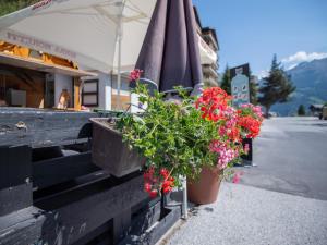 Splošen pogled na gorovje oz. razgled na gore, ki ga ponuja hotel