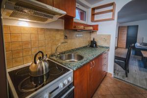 Kuchyň nebo kuchyňský kout v ubytování Apartmány v Podzámčí