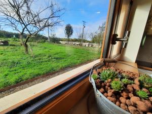 Zahrada ubytování Gîte La Ruchette