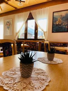 two potted plants sitting on a wooden table at Garnì Bonsai in Pinzolo