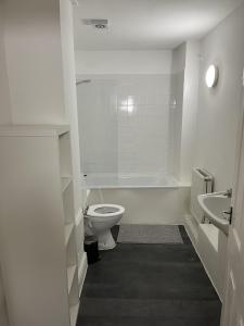 uma casa de banho branca com um WC e um lavatório em The Cozy Apartment em Gloucester