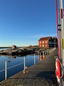 un gato sentado en un muelle junto a una casa roja en Resö Hamnmagasin vandrarhem en Resö