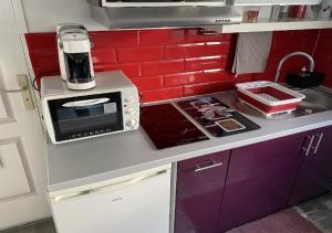 a small kitchen with a stove and a microwave at Jolie studio 10min centre ville et 300m quai de seine WIFI in Rouen