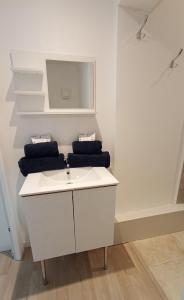 La salle de bains est pourvue d'un lavabo blanc et d'un miroir. dans l'établissement Domaine Le Clos Lassagne, à Brignais