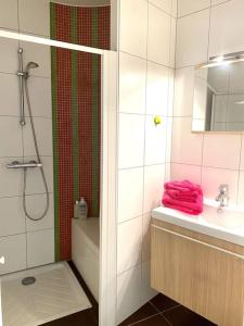 ein Bad mit einer Dusche, einem Waschbecken und einer Dusche in der Unterkunft Superbe et au calme - vue zoo - 3 chambres in Mulhouse
