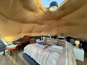 um quarto com uma cama grande e uma parede de madeira em Aurora Dome on the South Coast em Hvolsvöllur