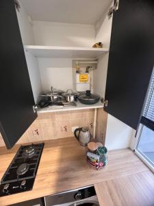 een kleine keuken met een fornuis en een aanrecht bij NERO apartamentai in Naujoji Akmenė