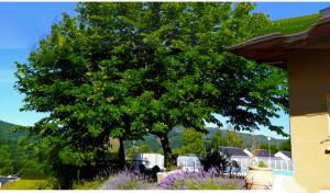 un grand arbre devant une maison avec des fleurs violettes dans l'établissement Maison a louer dans village de vacances, à Pierrefiche