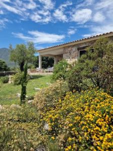 un jardin avec des fleurs jaunes devant un bâtiment dans l'établissement Maison type bergerie proche Porto-Vecchio, à Porto-Vecchio
