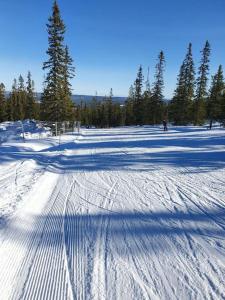 una persona está esquiando por una pista cubierta de nieve en Fantastiskt 6 bädds lägenhet i Sälen, en Sälen