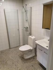 a bathroom with a toilet and a shower and a sink at Fantastiskt 6 bädds lägenhet i Sälen in Sälen