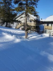 een boom in de sneeuw voor een huis bij Fantastiskt 6 bädds lägenhet i Sälen in Sälen