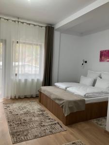 a bedroom with a large bed and a window at Casa BABI in Căciulata