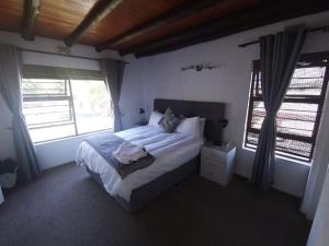 Sandown的住宿－Paulshof Sandton Apartments - Monchique，一间卧室设有一张大床和两个窗户。
