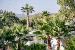 Gallery image of Camping Site de Gorge Vent in Fréjus