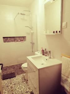 uma casa de banho com um WC, um lavatório e um chuveiro em Le Chai, Chateau de Charras, Family Friendly Holiday Destination em Charras