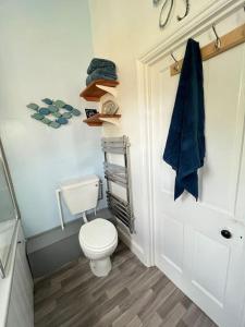ein Bad mit einem weißen WC in einem Zimmer in der Unterkunft 2BR Edwardian House in Greenwich in Abbey Wood