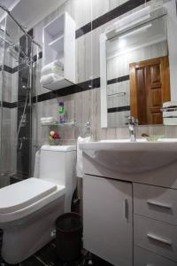 a bathroom with a white toilet and a sink at Opal oasis Residence two in Nairobi