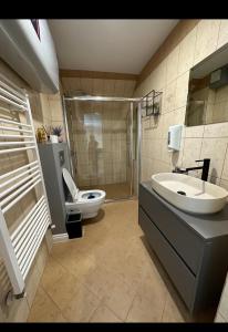 a bathroom with a toilet and a sink and a shower at Apartaments Filipopolis in Plovdiv