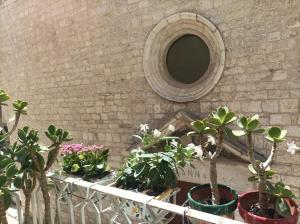a bunch of potted plants sitting on a ledge at Casa Vacanze Il Geco in Trani