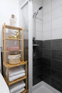 y baño con ducha y ducha acristalada. en Lavilla dorée, en Moret-sur-Loing