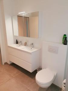 een badkamer met een toilet, een wastafel en een spiegel bij Rent & Relax: Vitrabelle in Lommel