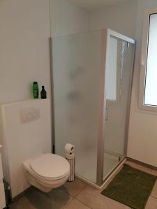 een badkamer met een toilet en een douche bij Rent & Relax: Vitrabelle in Lommel