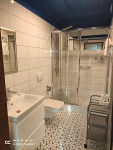 a bathroom with a shower and a toilet and a sink at Jasny Dwór in Polanica-Zdrój